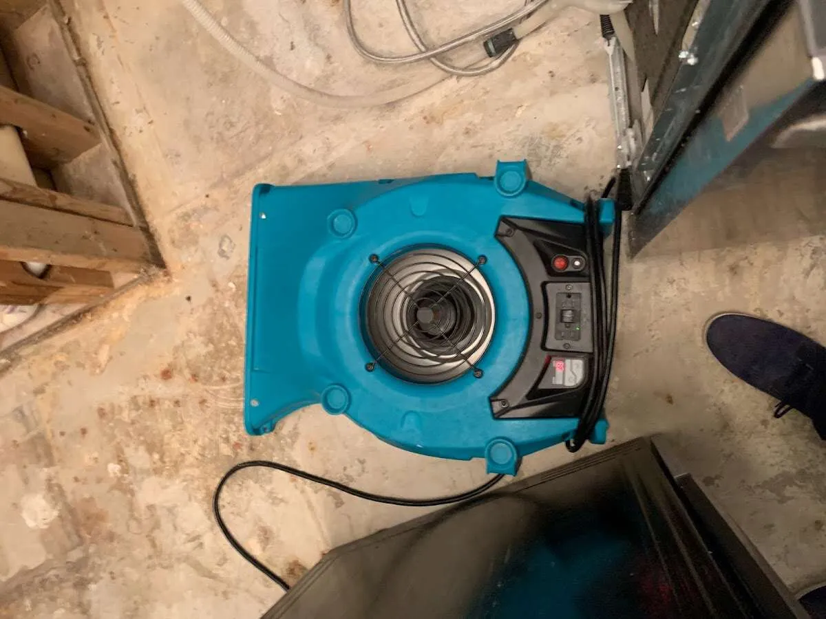 Air mover drying equipment for Mold Remediation & Removal in North Logan